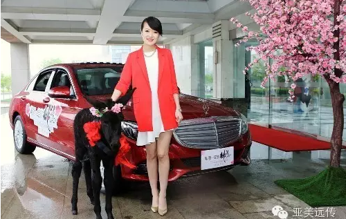 2014“寻找最美楼花”冠军与奔驰、驴合影.png