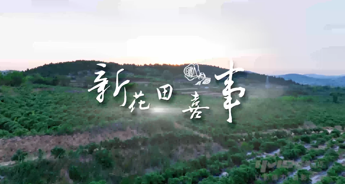 69fd6ae9a21ba.png 浪潮云洲企业宣传片案例视频.png